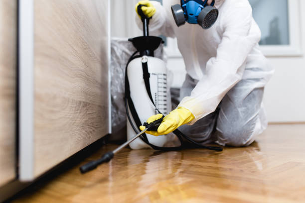 Best Pest Removal Services  in Cimarron Hills, CO