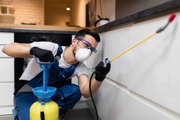 Best Pest Control for Homes  in Cimarron Hills, CO