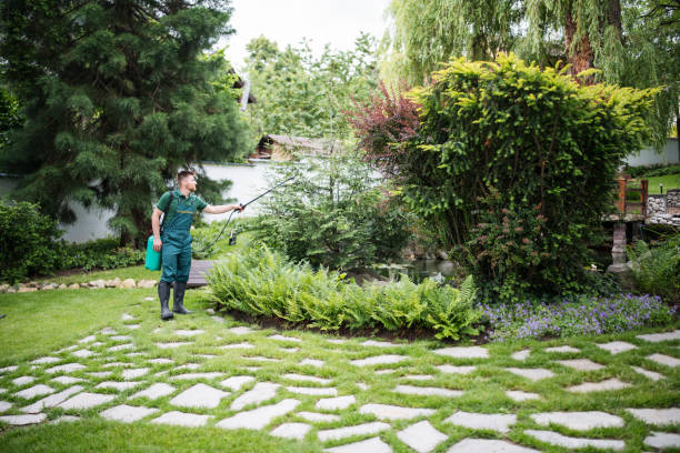 Best Best Pest Control Companies  in Cimarron Hills, CO
