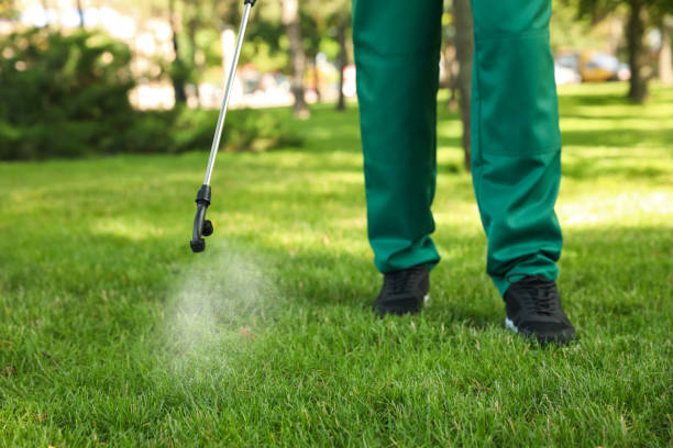 Best Exterminator Services  in Cimarron Hills, CO