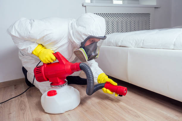 Best Local Pest Control Services  in Cimarron Hills, CO