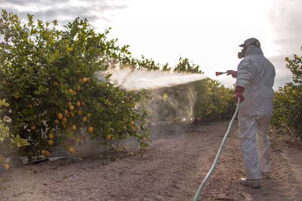 Best Pest Prevention Services  in Cimarron Hills, CO