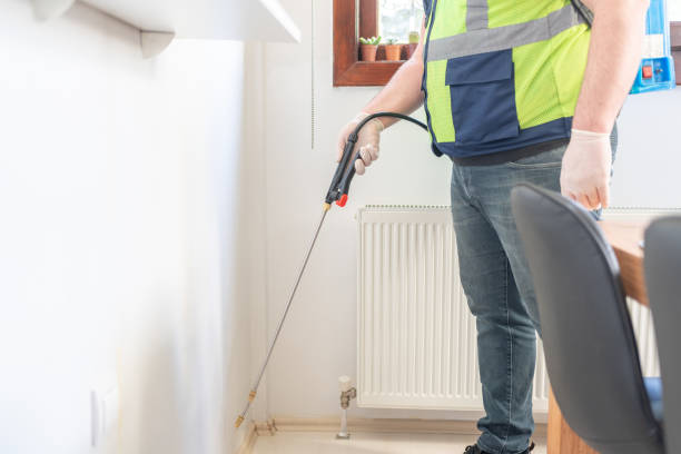 Best Wasp Removal Services  in Cimarron Hills, CO