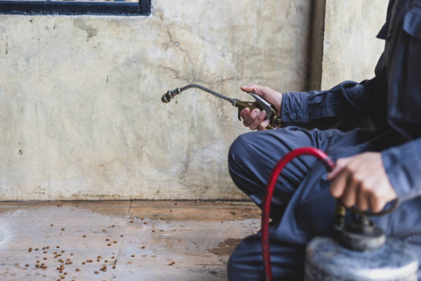 Best Residential Pest Control  in Cimarron Hills, CO