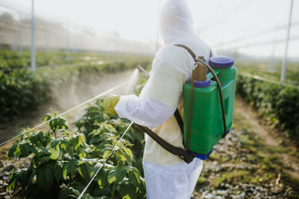 Best Emergency Pest Control  in Cimarron Hills, CO